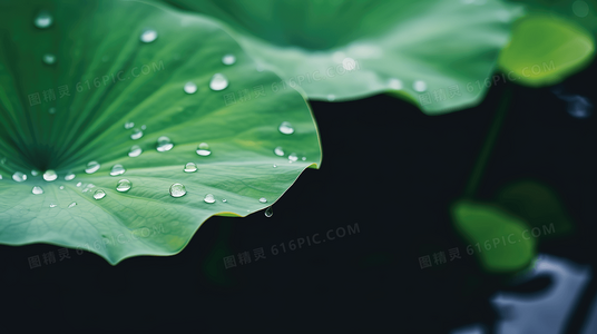 杨家七子反哺情深：短剧负母心免费观看，传统孝道引共鸣