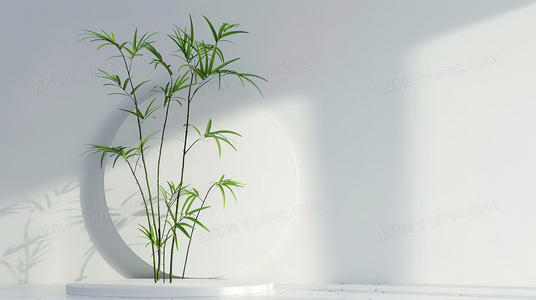 最低限度的保护：透明塑料袋的物质文化